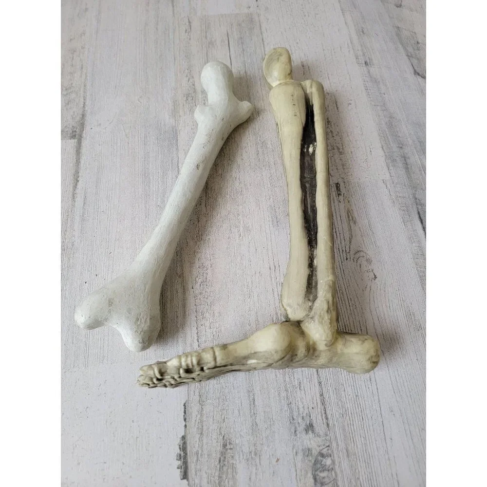 Skeleton leg bone‎ set prop Halloween decor zombie